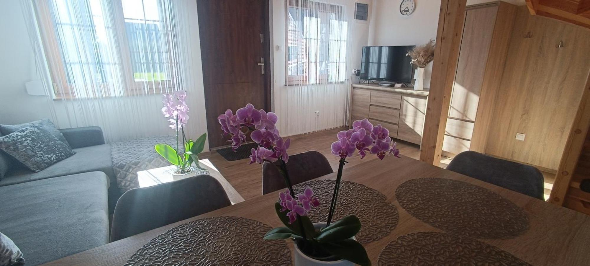 Diament Rogowo Villa Rogowo  Buitenkant foto