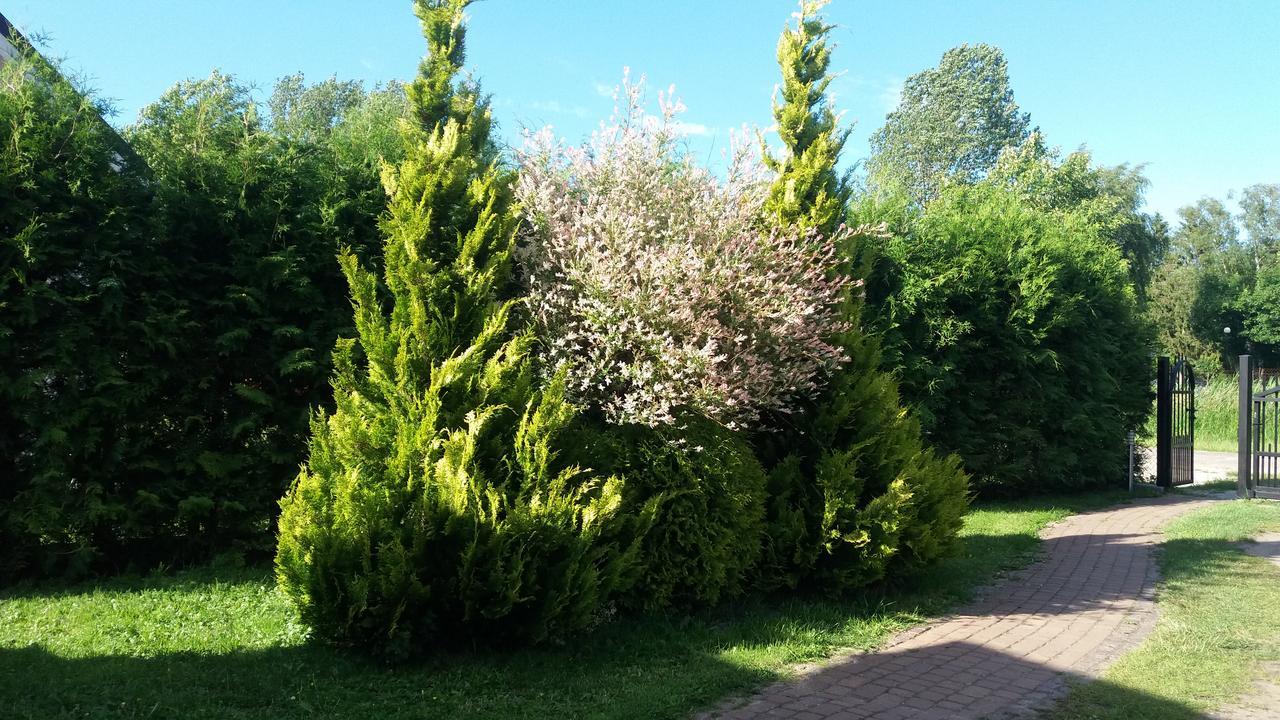 Diament Rogowo Villa Rogowo  Buitenkant foto
